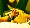 AdventureSquad_DevPhoto