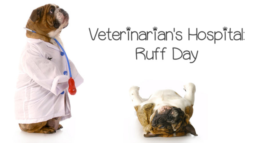 veterinarians_hospital