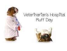 Veterinarians Hospital: Ruff Day