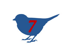Seven Birds